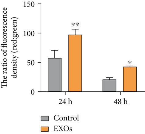 HBMSC EXOs Promote Cell Migration And Mitochondrial Function In