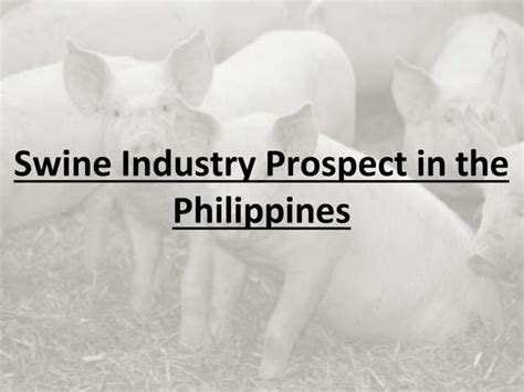 17 Swine Industry Prospectcabantacpptx