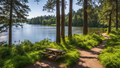 Fairview Riverside State Park Explore Louisiana Verdant Traveler