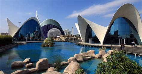 Entradas y visita guiada al Oceanogràfic de Valencia | musement