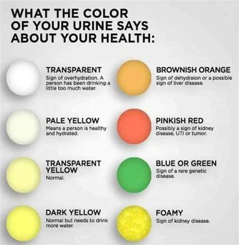 Urine Color And Signs MEDizzy