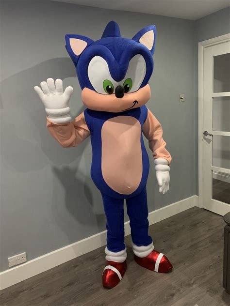 Sonic Costume For Adults Ubicaciondepersonas Cdmx Gob Mx