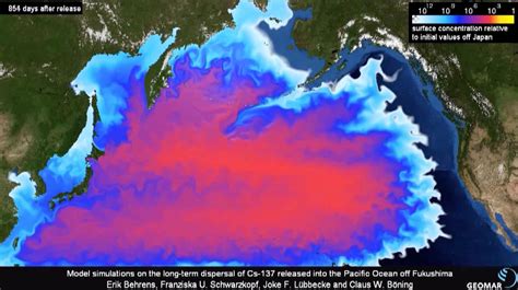 Japan S Decision Will Have Global Consequences Cgtn