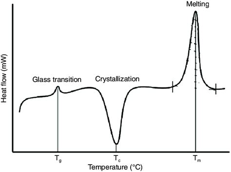 Illustration Of Different Thermal Events In A Typical Dsc Curve