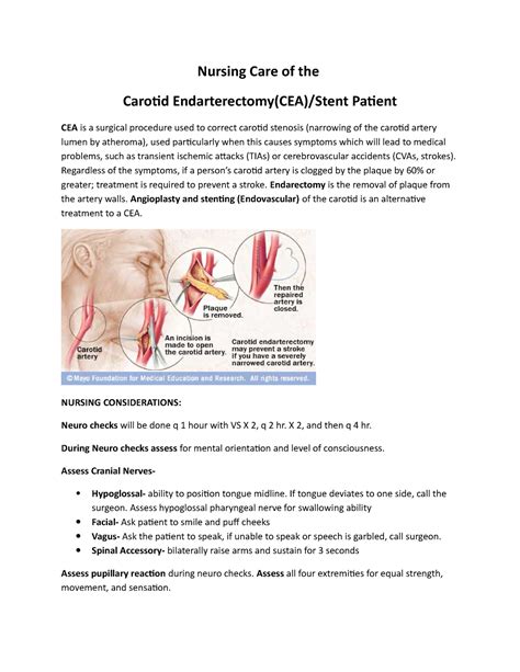 Nursing Care Of The Cea Nursing Care Of The Carotid Endarterectomy