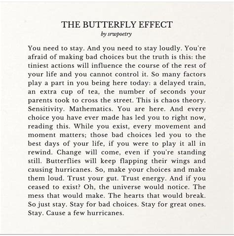 The Butterfly Effect in 2024