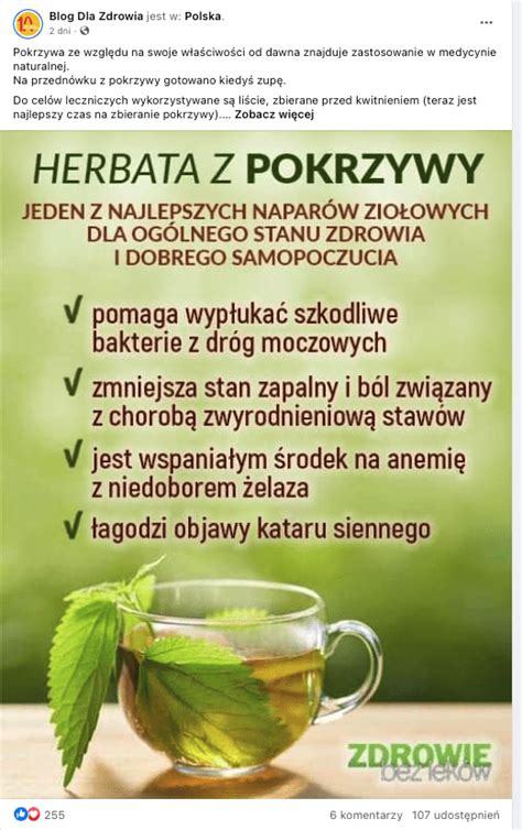 Herbata z pokrzywy pomaga leczyć alergię Brak na to dowodów