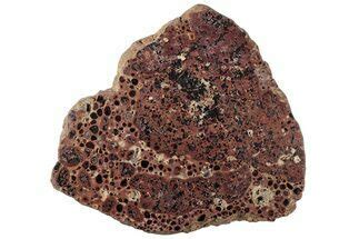 6.3" Polished Bauxite (Aluminum Ore) Section - Australia (#221463) For Sale - FossilEra.com