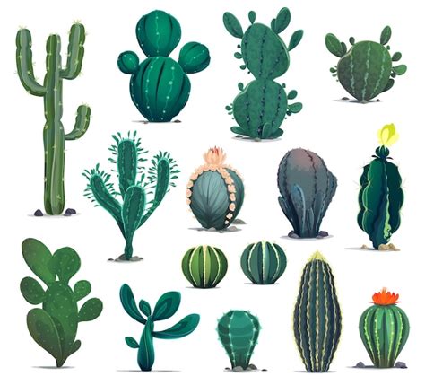 Cactus Del Desierto De Dibujos Animados Plantas Suculentas Espinosas