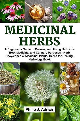 Medicinal Herbs A Beginners Guide To Growing And Using Herbs For Both