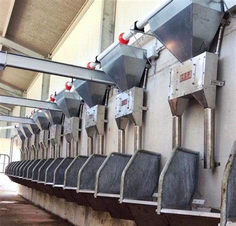 How much meal to feed dairy cows now? - Free