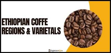 Blonde Vs Dark Roast The Battle For Your Breakfast Cup EspressoRivo