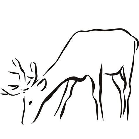 Deer Outline Clipart Best