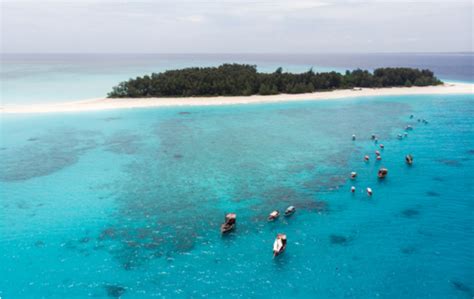 Full Day Snorkeling Trip To Mnemba Atoll From Nungwi Kendwa Or Matemwe