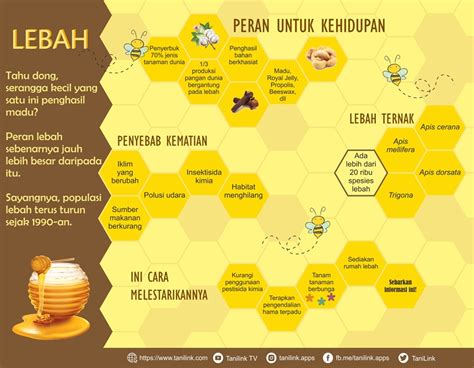 Infografis Peran Lebah Dalam Kehidupan