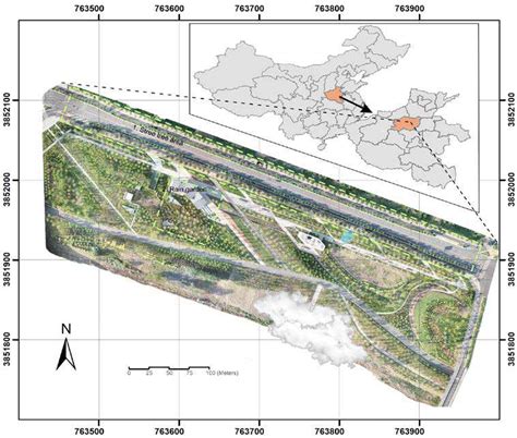 Digital orthophoto map (DOM) of the study area. Spatial distribution of ...