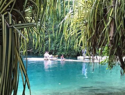 A day on the Black River - longest river in Jamaica and by far the most ...