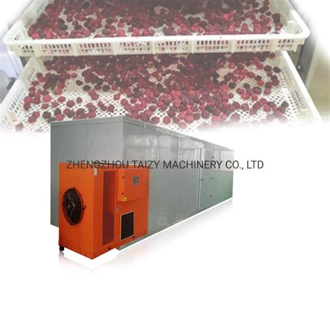 Industrial Fruit Heat Pump Dryer Fruits Dehydrator Dried Fruits Drying