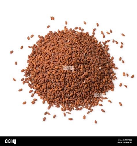 Garden Cress Seeds In Hindi