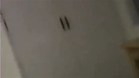 Rui Sakuragi Porn Videos Porn Star Sex Scenes XHamster