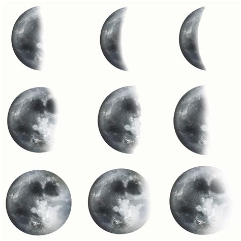 Agricultura Lunar El Impacto De Las Fases De La Luna En Los Cultivos