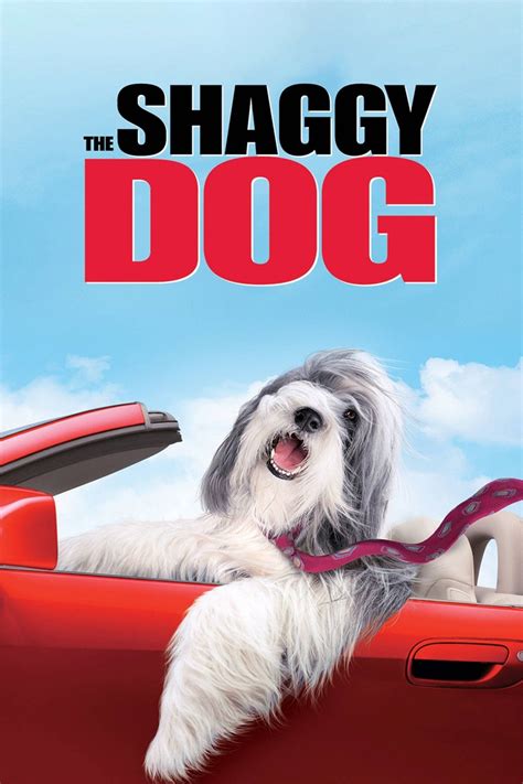 The Shaggy Dog - Rotten Tomatoes