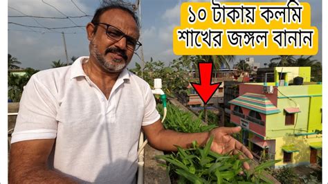 খুব সহজেই কলমি শাখের চাষ করুনhow To Grow Water Spinach Cultivation