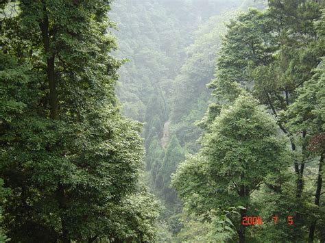 Mt Emei Sacred Buddhis Mountain Emeishanvista