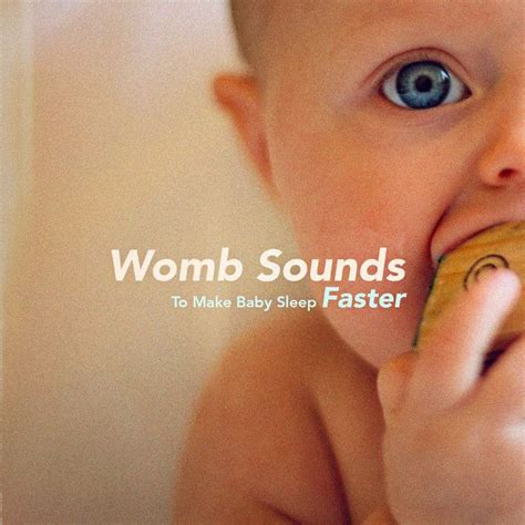 Womb Sound With Slow Mother S Heartbeat A Song By Womb Sound On