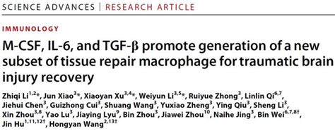 Sci Adv ：王红艳等揭示脑损伤微环境塑造巨噬细胞促进修复的机制