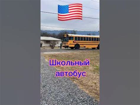 #shorts Школьный автобус #usa #usa сша - YouTube