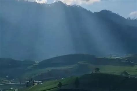 Bak Di Eropa Puncak Brakseng Negeri Di Atas Awan Dulunya Kebun Teh