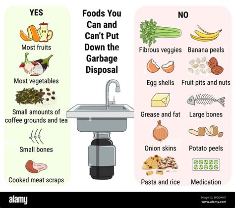 Infographic Of Food Waste Disposer For Home Kitchen Sink With Kitchen