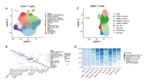 Single Cell Characterization Of The TCR Repertoire Across Tissue And