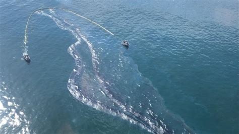 MSC And Cosco Sued For Negligence Causing California Pipeline Oil Leak