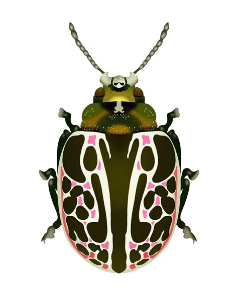 Green White And Pink Beetle In 2024 Beetle Art Bug Art Insect Art