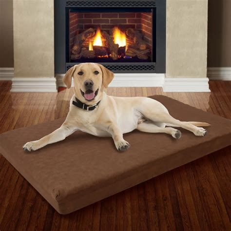 Large Memory & Foam Dog Bed With Removable Cover 46" X 27"-in Houses, Kennels & Pens from Home ...