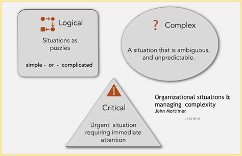 Organisations And Managing Making Sense Of Complexity