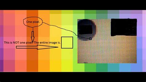 How To Change Screen Size In Zoom At Jose Kennedy Blog