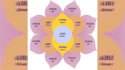 Megaestafa Con El Método De La Flor De La Abundancia Una Riojana Se Llevó 7 Millones Infobae