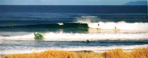 Solid Tips For Beginners Learning To Surf In Auckland