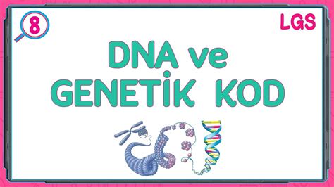 Dna Ve Genetİk Kod 8sınıf Fen Bilimleri Lgs Youtube