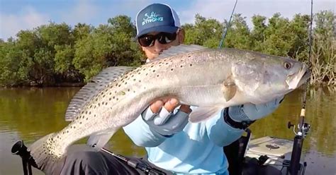 How To Catch Big Redfish Trout And Snook In Clear Shallow Water