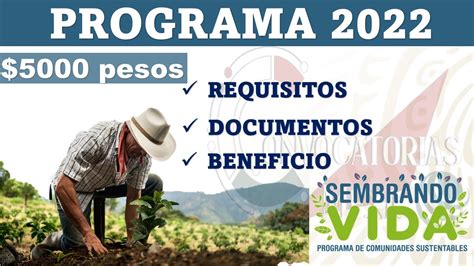 PROGRAMA Sembrando VIDA 2022 Beneficio De 5000 Mensual Requisitos