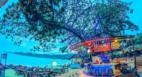 Ark Bar Beach Resort Chaweng Beach Koh Samui Thailand