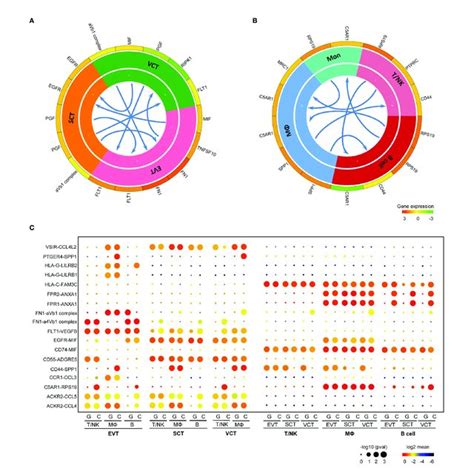 Single Cell Transcriptome Profiling Of Granulocytes And Myelocytes