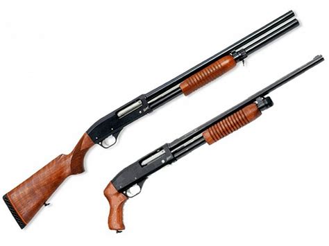Лучшие винтовки и ружья для охоты со своими достоинствами и недостатками