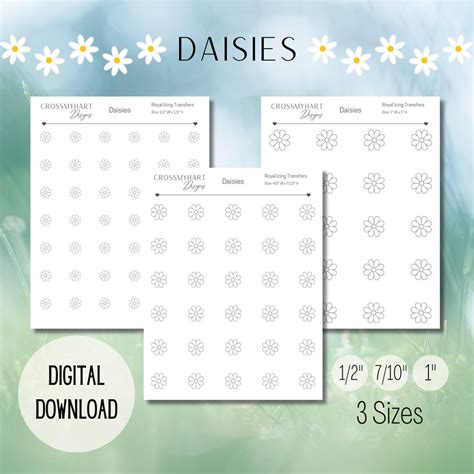 Daisy Royal Icing Transfer Sheet Daisy Flower Royal Icing Transfers