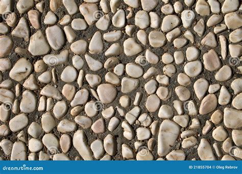 Stones Set In Cement Stock Images Image