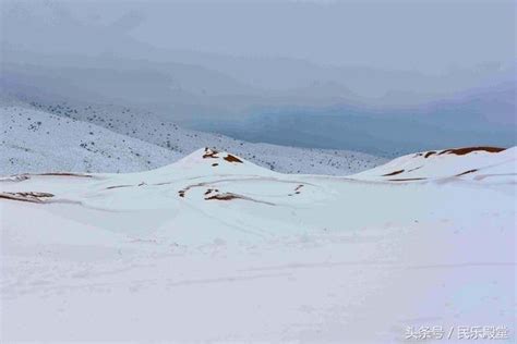 氣候的變化讓南極洲變綠北冰洋熔化撒哈拉沙漠下暴雪 每日頭條